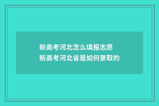 新高考河北怎么填报志愿 新高考河北省是如何录取的