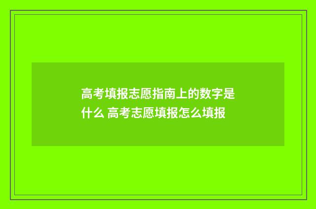 高考填报志愿指南上的数字是什么 高考志愿填报怎么填报