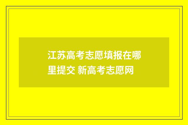 江苏高考志愿填报在哪里提交 新高考志愿网