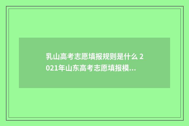 乳山高考志愿填报规则是什么 2021年山东高考志愿填报模板