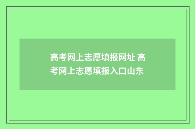 高考网上志愿填报网址 高考网上志愿填报入口山东