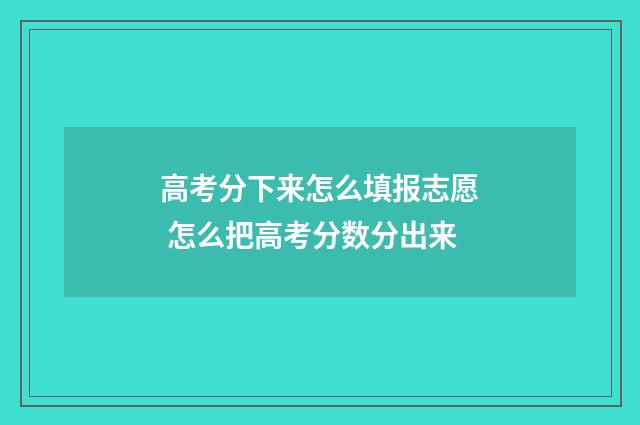 高考分下来怎么填报志愿 怎么把高考分数分出来