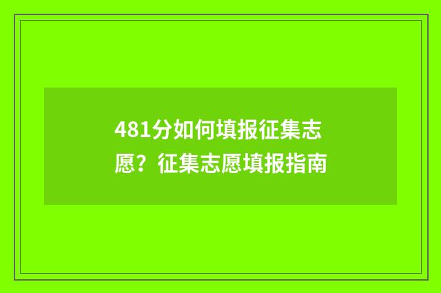 481分如何填报征集志愿？征集志愿填报指南