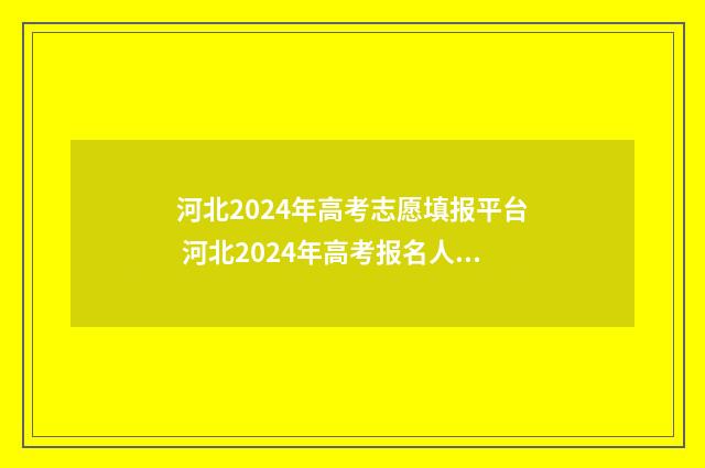 河北2024年高考志愿填报平台 河北2024年高考报名人数