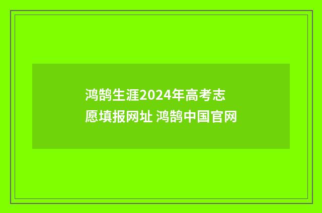 鸿鹄生涯2024年高考志愿填报网址 鸿鹄中国官网