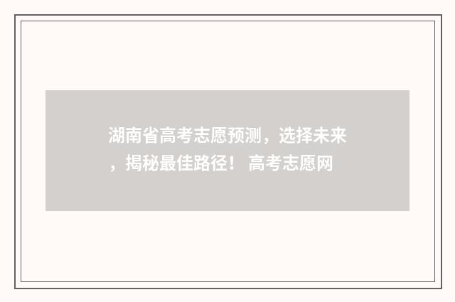 湖南省高考志愿预测，选择未来，揭秘最佳路径！ 高考志愿网