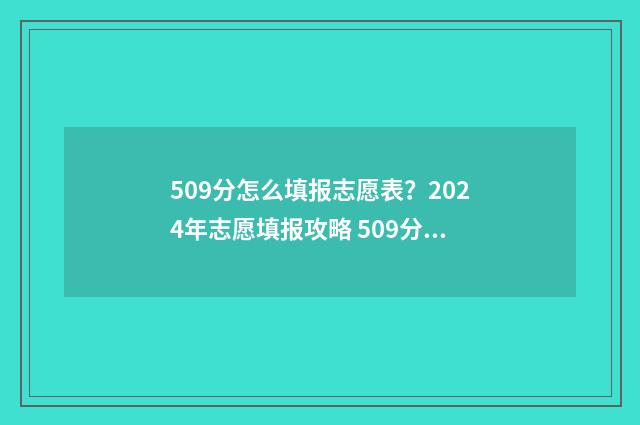 509分怎么填报志愿表？2024年志愿填报攻略 509分可以上什么高中