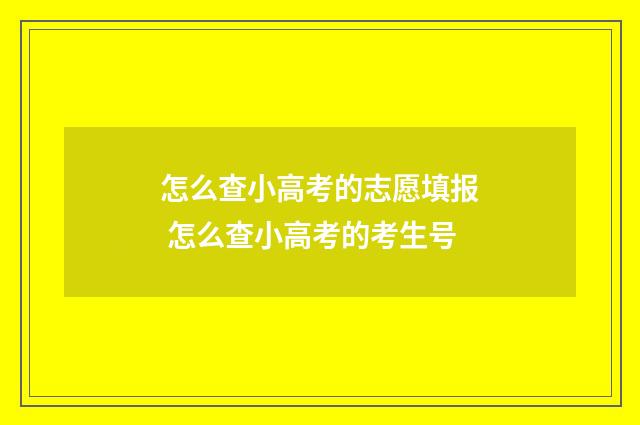 怎么查小高考的志愿填报 怎么查小高考的考生号