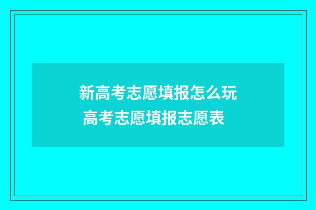 新高考志愿填报怎么玩 高考志愿填报志愿表