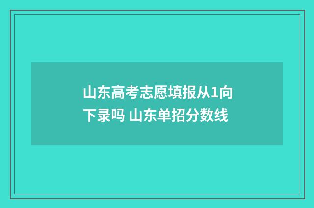 山东高考志愿填报从1向下录吗 山东单招分数线