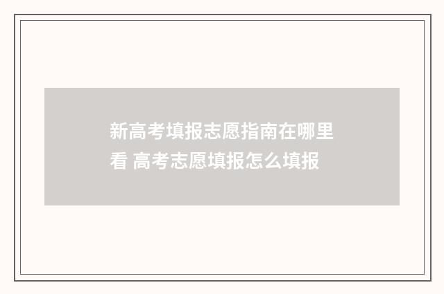 新高考填报志愿指南在哪里看 高考志愿填报怎么填报