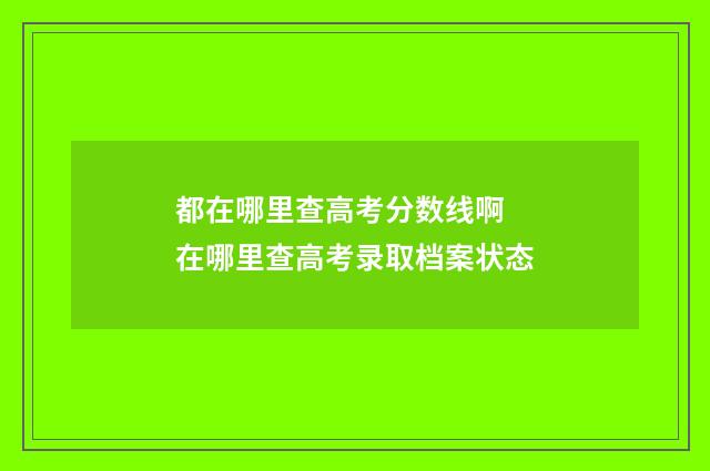 都在哪里查高考分数线啊 在哪里查高考录取档案状态