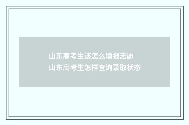 山东高考生该怎么填报志愿 山东高考生怎样查询录取状态