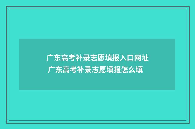广东高考补录志愿填报入口网址 广东高考补录志愿填报怎么填