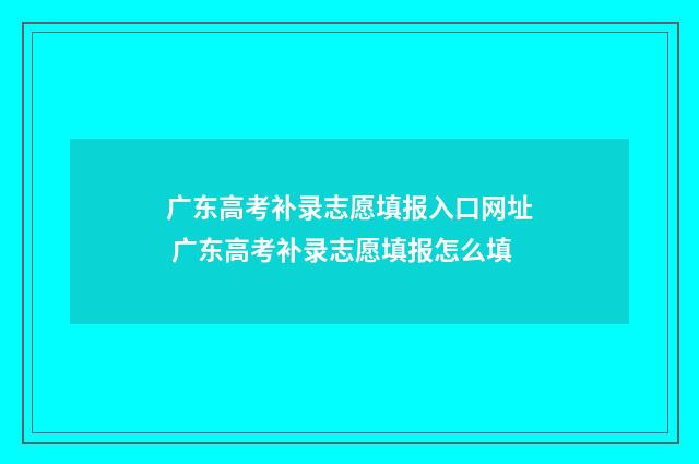 广东高考补录志愿填报入口网址 广东高考补录志愿填报怎么填