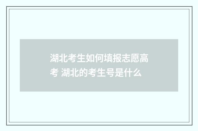 湖北考生如何填报志愿高考 湖北的考生号是什么