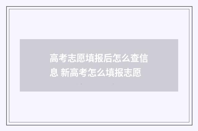 高考志愿填报后怎么查信息 新高考怎么填报志愿