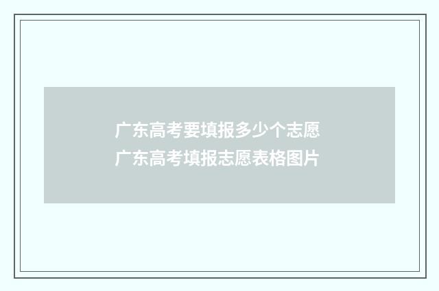 广东高考要填报多少个志愿 广东高考填报志愿表格图片
