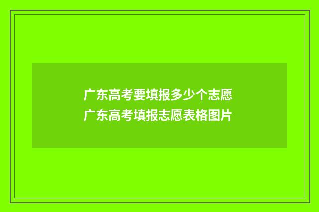 广东高考要填报多少个志愿 广东高考填报志愿表格图片