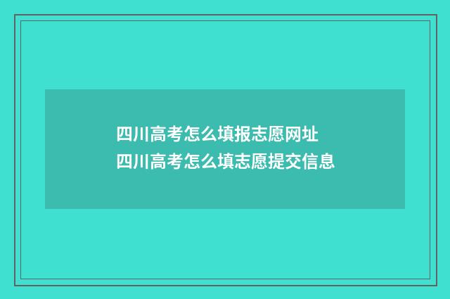 四川高考怎么填报志愿网址 四川高考怎么填志愿提交信息