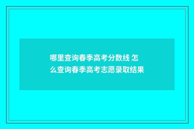 哪里查询春季高考分数线 怎么查询春季高考志愿录取结果