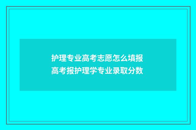 护理专业高考志愿怎么填报 高考报护理学专业录取分数