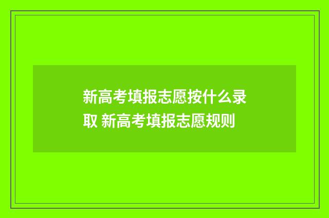 新高考填报志愿按什么录取 新高考填报志愿规则