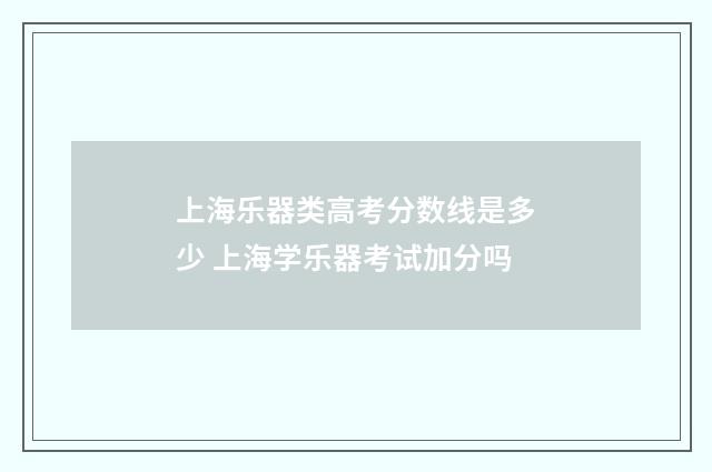 上海乐器类高考分数线是多少 上海学乐器考试加分吗