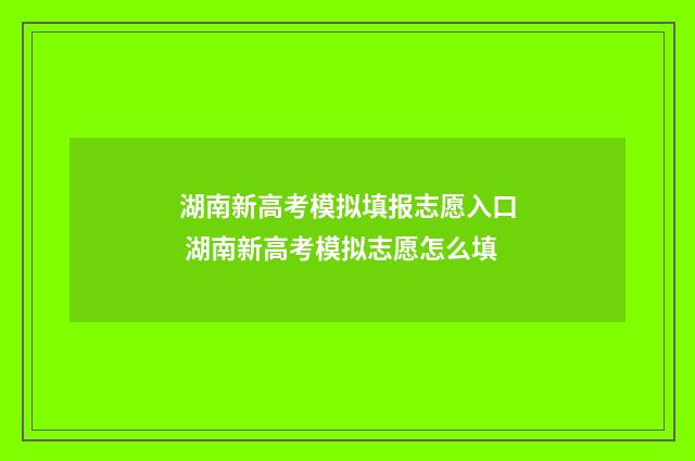 湖南新高考模拟填报志愿入口 湖南新高考模拟志愿怎么填