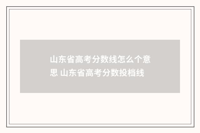 山东省高考分数线怎么个意思 山东省高考分数投档线