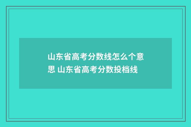 山东省高考分数线怎么个意思 山东省高考分数投档线