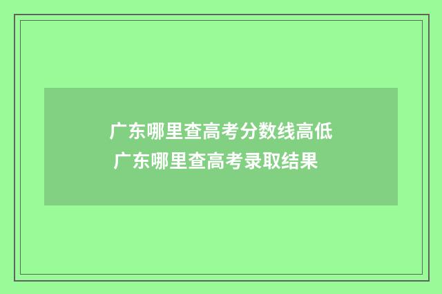 广东哪里查高考分数线高低 广东哪里查高考录取结果