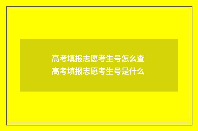 高考填报志愿考生号怎么查 高考填报志愿考生号是什么