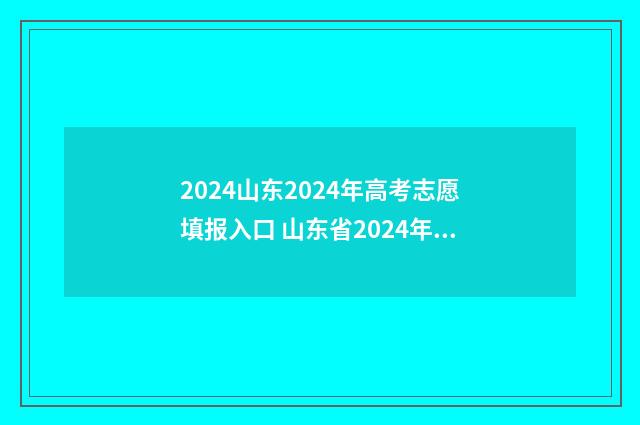 2024山东2024年高考志愿填报入口 山东省2024年高考人数
