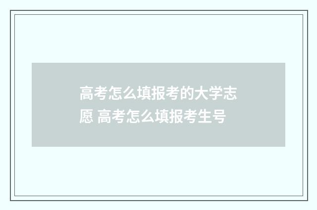 高考怎么填报考的大学志愿 高考怎么填报考生号