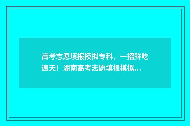 高考志愿填报模拟专科,一招鲜吃遍天!湖南高考志愿填报模拟终极指南 高考志愿填报模拟