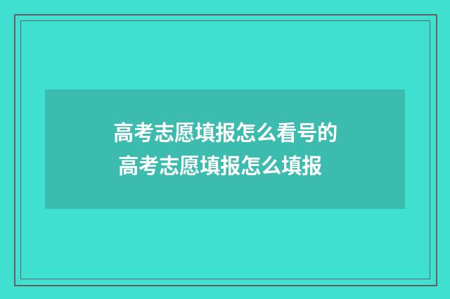高考志愿填报怎么看号的 高考志愿填报怎么填报