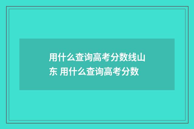 用什么查询高考分数线山东 用什么查询高考分数
