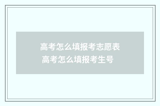 高考怎么填报考志愿表 高考怎么填报考生号