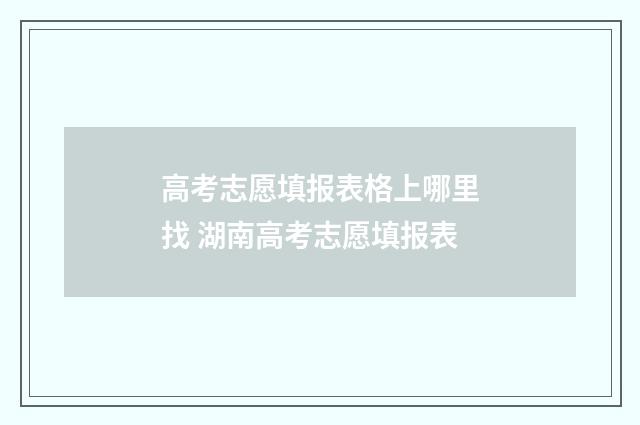 高考志愿填报表格上哪里找 湖南高考志愿填报表