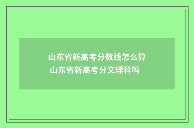 山东省新高考分数线怎么算 山东省新高考分文理科吗