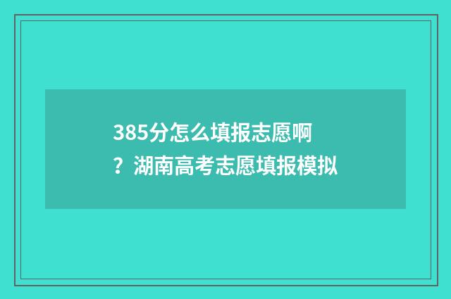 385分怎么填报志愿啊?湖南高考志愿填报模拟