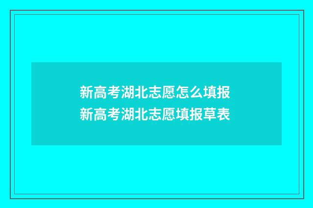 新高考湖北志愿怎么填报 新高考湖北志愿填报草表