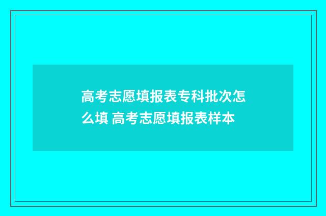 高考志愿填报表专科批次怎么填 高考志愿填报表样本