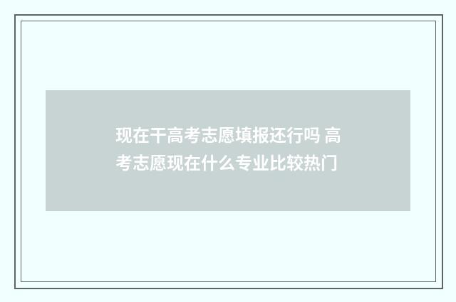 现在干高考志愿填报还行吗 高考志愿现在什么专业比较热门