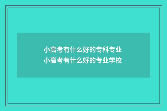 小高考有什么好的专科专业 小高考有什么好的专业学校
