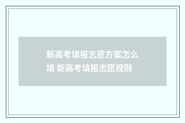 新高考填报志愿方案怎么填 新高考填报志愿规则