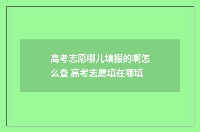 高考志愿哪儿填报的啊怎么查 高考志愿填在哪填