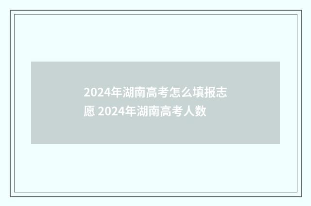 2024年湖南高考怎么填报志愿 2024年湖南高考人数