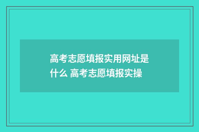 高考志愿填报实用网址是什么 高考志愿填报实操